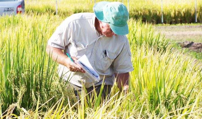 Corrientes es una de las provincias que más creció en los últimos 20 años